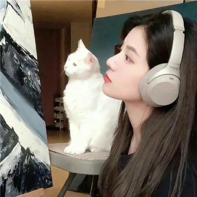无家者的归途